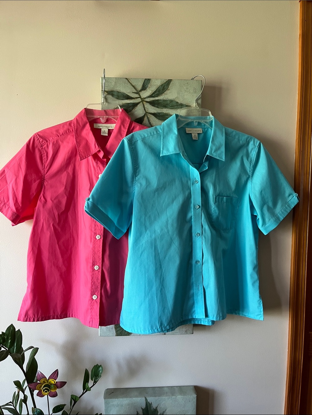 Appleseed’s Shirt Bundle